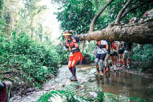 BIB: 
                            <button type="button" onclick="openModal(25467705)" class="btn btn-primary btn-sm float-right btn-popup" data-toggle="modal" data-target=".modal-high-quality">
                        <i class="fas fa-shopping-cart"></i> Add to Cart
                    </button>
                                            <button type="button" onclick="isThisMe(25467705, true)" class="btn btn-success btn-sm float-right btn-popup btn-isme hidden" data-toggle="tooltip" data-placement="bottom" title="นี่คือรูปของคุณใช่ไหม คลิกที่นี่เพื่อเอาเข้าอัลบั้ม">
                        <i class="fas fa-plus"></i> Add to album
                    </button>
                    <button type="button" onclick="isThisMe(25467705, false)" class="btn btn-warning btn-sm float-right btn-popup btn-isnotme hidden">
                        <i class="fas fa-ban"></i> Remove from album
                    </button>